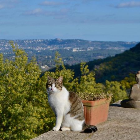 Amoureux Du Calme Et De La Nature Tanneron Buitenkant foto
