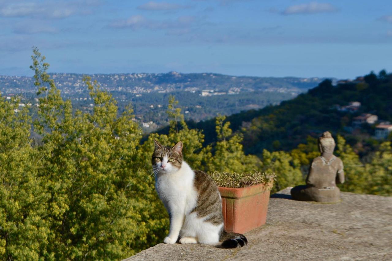Amoureux Du Calme Et De La Nature Tanneron Buitenkant foto